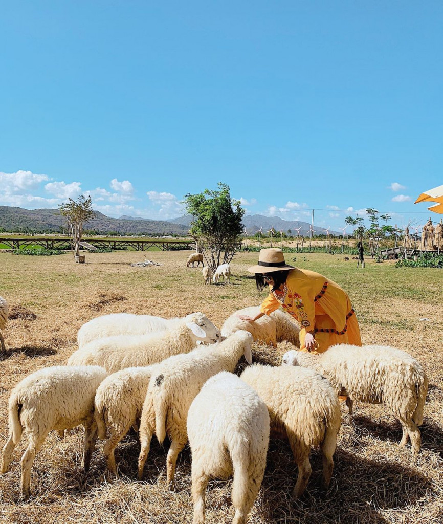 du lịch Ninh Thuận